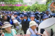 しばき隊さん 反対運動に日当が出てると指摘されデマだとブチギレw