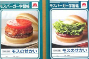 【画像】豆知識が掲載される「モスバーガー学習帳」がSNSで話題ｗｗｗｗｗ