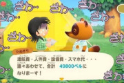 「あつまれっ…！どうぶつの森っ…！」にありがちなこと