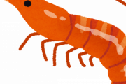 【閲覧注意】もしエビが陸上生物だったら即駆除対象だろ……