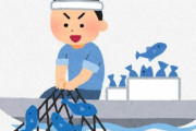 カニ漁師「揚げろ！揚げろ！カニだ！カニだ！」←年収3000万