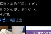 【悲報】リゼロコラボ中の富士急ハイランドさん、やらかす （※画像あり）