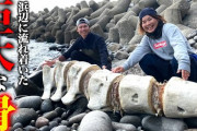 魚釣り系YouTuber、離島の浜辺で巨大な骨を発見「恐竜の骨みたい」