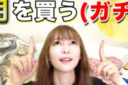 【朗報】中川翔子さん、月の土地を購入したことを自身のYouTubeチャンネルで報告「友達に自慢できる」
