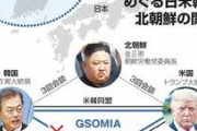 既にレッドチーム入りしてんじゃね？　〜　【夕刊フジ】韓国は今年、中ロに接近か　GSOMIAは3月に破棄も