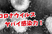 中国政府、コロナウイルス患者強制収容所の建設を開始してしまうｗｗｗ　患者を埋める準備か・・・