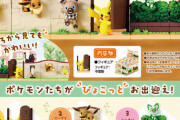 ワイ、勢いでポケモングッズを買って後悔