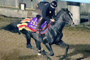 イクイノックス木村哲也調教師「まだ去年の疲れが抜けてないのか、バランスがひと息」