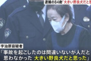 【千葉】「野良犬だと思った」86歳女性をひき逃げした84歳女を逮捕