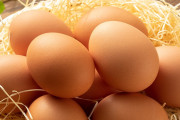 【悲報】卵価格、3割上昇ｗｗｗｗｗｗｗ　鶏夏バテで生産減・・・