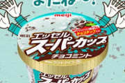 明治の「エッセル スーパーカップ チョコミント」がもうすぐ販売終了…