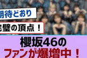 櫻坂46のファンが爆増中！【櫻坂46】