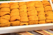 「最後にウニ食べますか？」追加したら一貫7000円･･･高級寿司店の会計にSNS騒然、弁護士の見解は