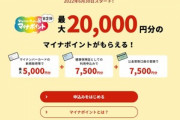 日本政府｢ポイント2万円分も貰えるのに何でマイナンバーカード作らないの？予算6000億円余ってるんだけど｣