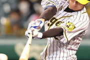 阪神近本光司今季60度目マルチ安打！　10年マートン以来球団２人目