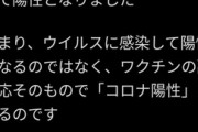 【悲報】アニメアイコン「知人がワクチン接種後にコロナ陽性になりました」