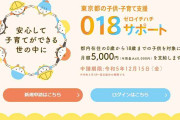 「恐ろしく面倒くさい！」18歳以下に年6万円支給、東京都の「018サポート」を申請してみた　手続き時に直面する「3つの難所」とは？