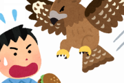 【悲報】フェンスにつながれたタカ、職員がトンビと勘違いして逃がす…横須賀市が飼い主に賠償?