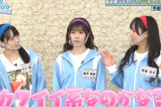【日向坂46】可愛い系の企画かと思ったら、まさかのアレの登場wwww