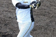 阪神・井上、フリー打撃で88スイング中12本の柵超えwwwwwwww
