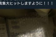 【議論】ヲタクが爆買いしてる様子をTwitterに挙げてるけど黙ってやればよくない？