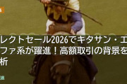 セレクトセール2026でキタサン・エピファ系が躍進！高額取引の背景を分析