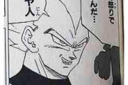 ベジータ「穏やかだったさ…穏やかで純粋だった、ただし純粋な悪だがな」