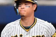 阪神 佐藤輝明(24) .237　7本　ops.828←こいつの感想