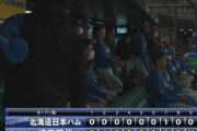 日ハム連敗もヌニエス豪快来日第1号！根本は4回4失点も最後は立て直す