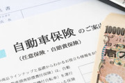 ぼく「やったー！免許を取得したぞ！！」敵「任意保険に入れ」