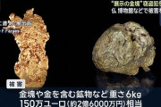 【悲報】中国人窃盗犯、博物館の自然金を盗んだ後に溶かしてただの金属にしてしまう