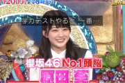 テレ朝の天使・原田葵、櫻坂46No.1頭脳の肩書きを引っ提げフジテレビ参戦！7/20放送「潜在能力テスト」出演へ