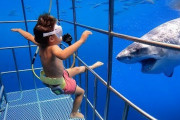 【悲報】海外Youtuberさん、再生数欲しさに5歳の我が子を檻かごに入れホホジロザメの泳ぐ海へ投入してしまう・・・