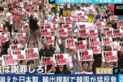 【悲報】韓国人さん「韓国には何も仕事がない。日本で就職したいのに安倍政権が入国させてくれない」←これｗｗｗｗ