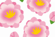 この花の名前教えてくれ
