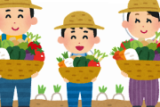 【悲報】これは俺が「農家の手伝いバイト」やった時の話なんだけど…