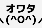 気に入ってたネットスラング