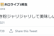 ぺこら「新しい歯みがき粉ジャリジャリして美味しいぺこ」