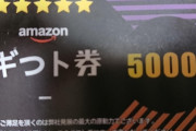 【画像】Amazonで700円のイヤホンを買ったらとんでもないものが付いてくる事案が発生ｗｗｗｗｗ