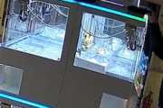 【動画】HAO中野に現れた2人組のゲームセンター荒らしに懸賞金がかけられる。