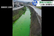 【奈良】生駒市の竜田川が緑色に染まる。上流で何者かが粉末を投棄