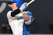 松本剛、秋山の216安打越えの可能性ｗｗｗｗｗｗｗｗ