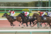 【朗報】競馬でウマを蹴った騎手、ウマの安全の為だった…