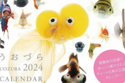 さかなの変顔!?　ユニークな“正面顔”が満載！『うおづらカレンダー』の2024年版が販売開始（画像あり）