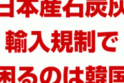 韓国政府「日本の石炭灰を輸入規制する」　韓国セメント企業「非常事態だ！助けてくれ！」　何やってんだよ…