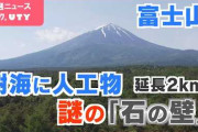 富士山の麓、青木ヶ原樹海に延長2kmの“石の壁”　いったい誰が何のために？　いまだ解明されない謎  [8/2]