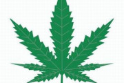 厚労省「大麻は脳に悪影響があります」→リプ欄がとんでもない事になってしまう…