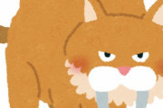 絶滅した動物で復活して欲しいのは？　「サーベルタイガー」「ニホンオオカミ」あとひとつは？ｗｗｗｗｗｗｗｗｗｗｗｗｗｗｗw
