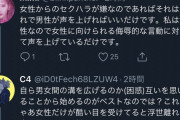 女さん「女性の美しさを褒める際に『抱ける／抱けない』で語る男がほんまに嫌い」