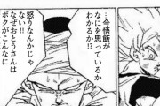 悟空「いいぞセル！悟飯を怒らせるんだ！」ピッコロ「…」